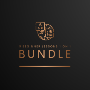 5 Beginner Lessons 1 on 1 Bundle